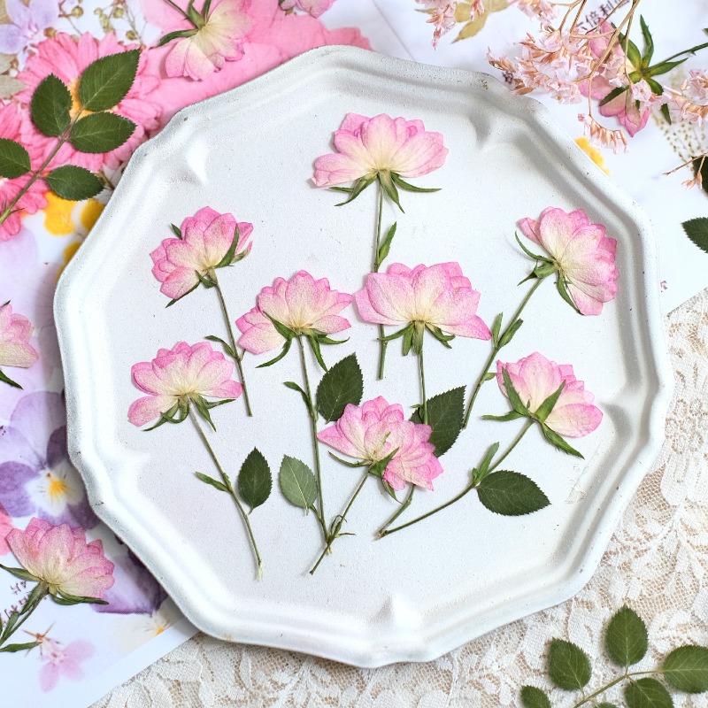 Embellishment Crafts - 12個入り、本物の乾燥圧縮花、携帯電話ケースDIY用、ピンクローズUVレジンクラフト用品、スクラップブッキング、アロマセラピー、ジュエリー製作に。