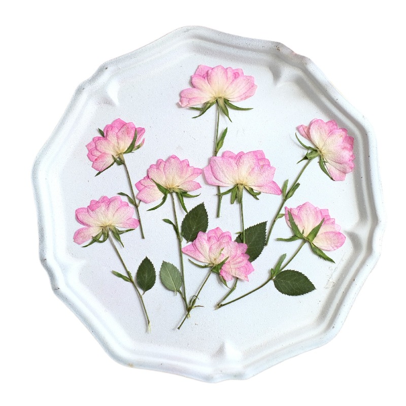 12個入り、本物の乾燥圧縮花、携帯電話ケースDIY用、ピンク - Embellishment Crafts のレビューと価格